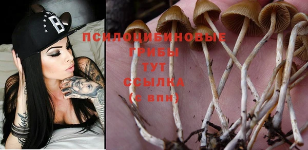 прущие крисы Сосновоборск