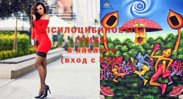 экстази Кемь