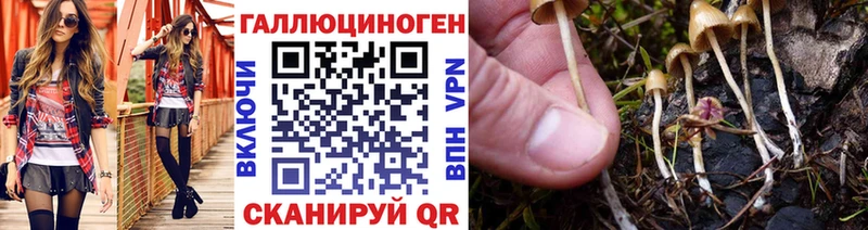MEGA как зайти Туринск Псилоцибиновые грибы Cubensis